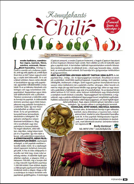 Könnyfakasztó Chili - Veranda Magazin