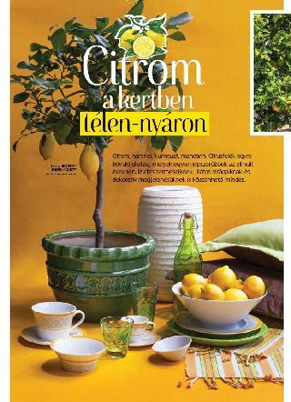 Citrom a kertben télen-nyáron - Veranda Magazin
