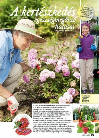 A kertészkedés egészségmegőrző hatásai - Veranda Magazin