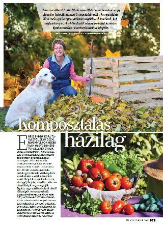 Komposztálás házilag - Gerendaházak Magazin