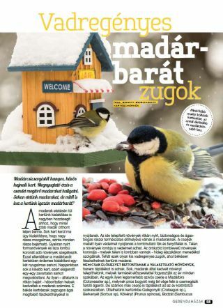 Vadregényes madárbarát zugok - Gerendaházak Magazin