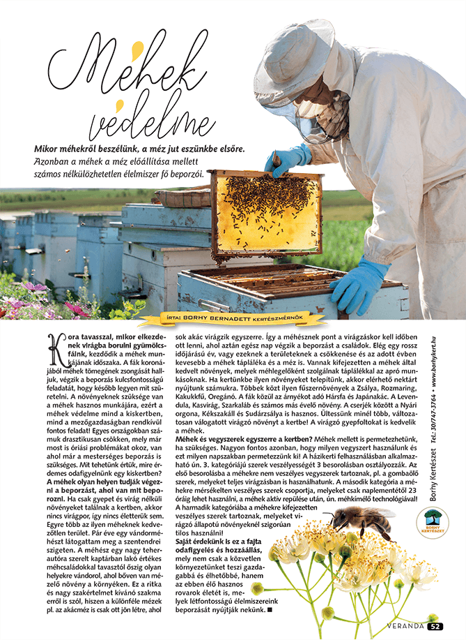 A méhek védelme - Veranda Magazin