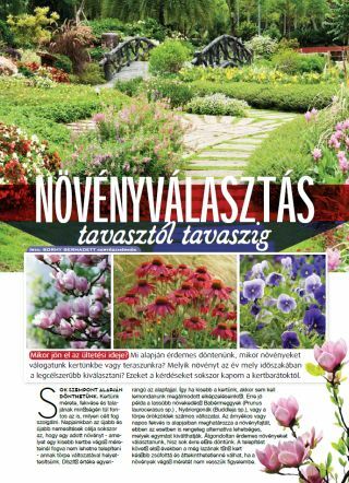 Növényválasztás tavasztól tavaszig - Veranda Magazin