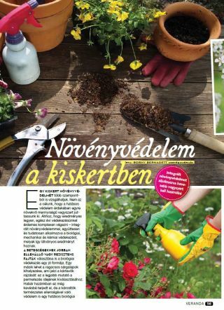 Növényvédelem a kiskertben - Veranda Magazin