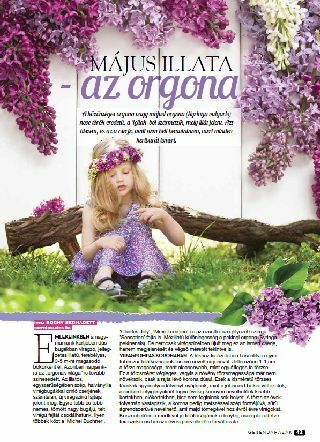 Május illata - az Orgona - Gerendaházak Magazin