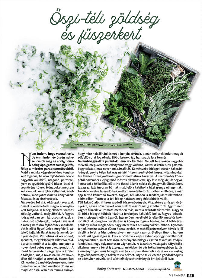 Őszi - téli zöldség - és fűszerkert - Veranda Magazin