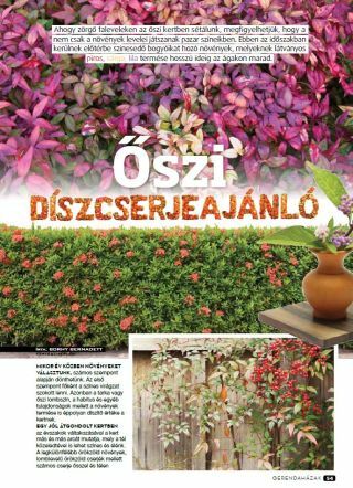 Őszi kertben sétálva - Gerendaházak Magazin