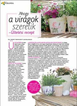 Ahogy a virágok szeretik - ültetési recept - Veranda Magazin