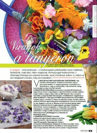 Virágok a tányéron - Veranda Magazin