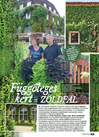 Függőleges kert = zöldfal - Veranda Magazin