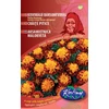 Kép 1/3 - Tagetes patula