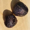 Kép 2/3 - Füge (konténeres) - Ficus carica 'Ronde de Bordeaux' 40/60cm K3l