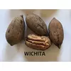 Kép 2/2 - Pekándió - Carya illinoinensis 'Wichita' 100/125cm K7L