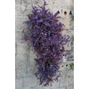Kép 2/2 - Pletyka bordó levelű, bíborpletyka ámpolnás - Tradescantia pallida 'Purple Heart' 20/30cm K25cm