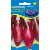 Kép 1/3 - Allium cepa 'Rossa lunga di Firenze'