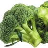 Kép 3/3 - Brokkoli vetőmag - Brassica oleracea cymosa 'Calabrese' 2g