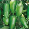 Kép 2/3 - Paprika chili zöldség vetőmag - Capsicum annuum 'Jalapeno'