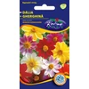 Kép 1/3 - Dahlia variabilis