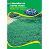 Kép 1/3 - Dichondra repens