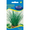 Kép 1/2 - Allium schoenoprasum