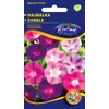 Kép 1/3 - Ipomoea tricolor mix