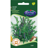 Kép 1/3 - Hyssopus officinalis