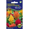 Kép 1/3 - Celosia argentea 'Cristata'