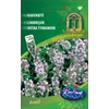 Kép 1/3 - Thymus vulgaris