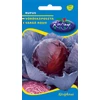 Kép 1/2 - Brassica oleracea rubra 'Rufus'
