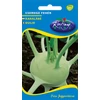 Kép 1/3 - Brassica gongyloides 'Szentesi fehér'