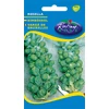 Kép 1/3 - Brassica gemmifera 'Rosella'