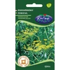 Kép 1/3 - Foeniculum vulgare