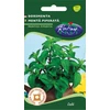 Kép 1/3 - Mentha piperita