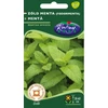 Kép 1/3 - Mentha spicata