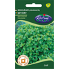 Kép 1/3 - Origanum vulgare