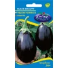 Kép 1/3 - Solanum melongena 'Black Beauty'