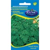 Kép 1/2 - Petroselinum crispum crispum