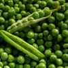 Kép 3/3 - Vetőmag "Borsó Béci" gyerekkertészeknek - Pisum sativum 'Kelvedon csodája' 50g