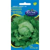 Kép 1/3 - Lactuca sativa 'Great Lakes'