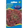 Kép 1/3 - Lactuca sativa 'Lollo Rossa'