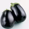 Kép 3/3 - Padlizsán különleges zöldség vetőmag - Solanum melongena 'Black Beauty' 1g