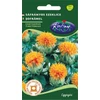 Kép 1/3 - Carthamus tinctorius