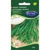 Kép 1/2 - Artemisia dranunculus
