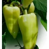 Kép 1/2 - Capsicum annuum 'Garam F1'