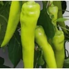 Kép 1/2 - Capsicum annuum 'Kard F1'