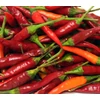 Kép 1/2 - Capsicum annuum 'Thai Red'