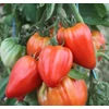 Kép 1/2 - Lycopersicon lycopersicum 'Fleurette F1'