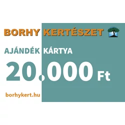 Ajándékkártya - 20.000.-Ft