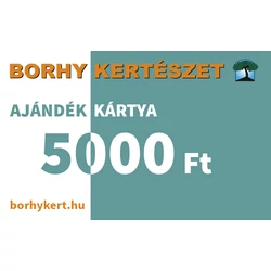 Ajándékkártya - 5.000.-Ft