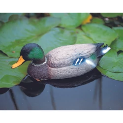 kacsa vadkacsa nőstény és hím 40cm